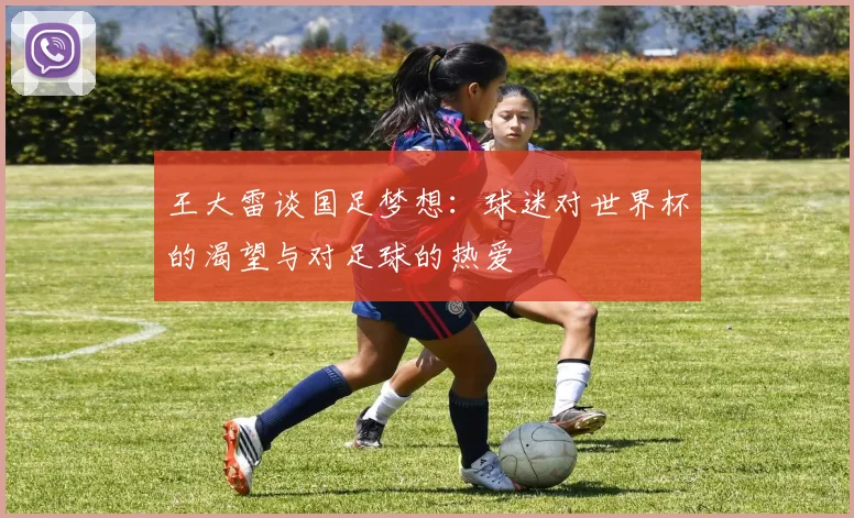 王大雷谈国足梦想：球迷对世界杯的渴望与对足球的热爱