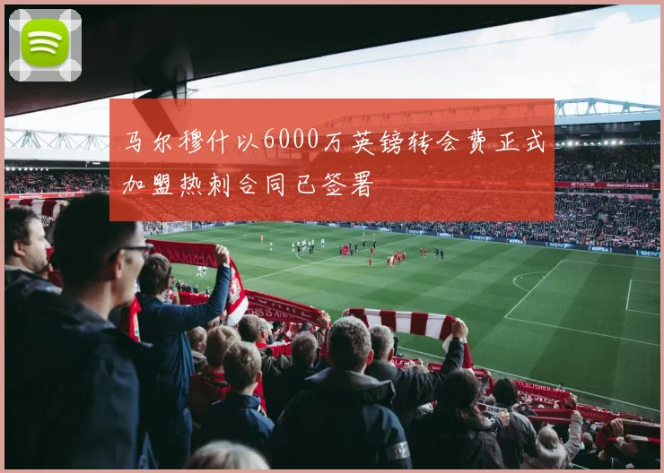 马尔穆什以6000万英镑转会费正式加盟热刺合同已签署
